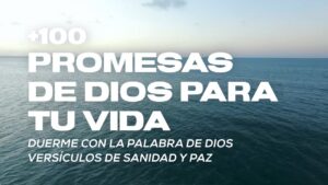 Los versículos más impactantes de la Biblia: Oraciones Católicas