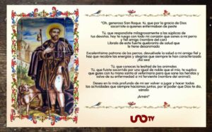 Oración para perros enfermos: Sanación y esperanza