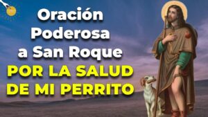 Oración para una mascota enferma: Sanación y fe divina