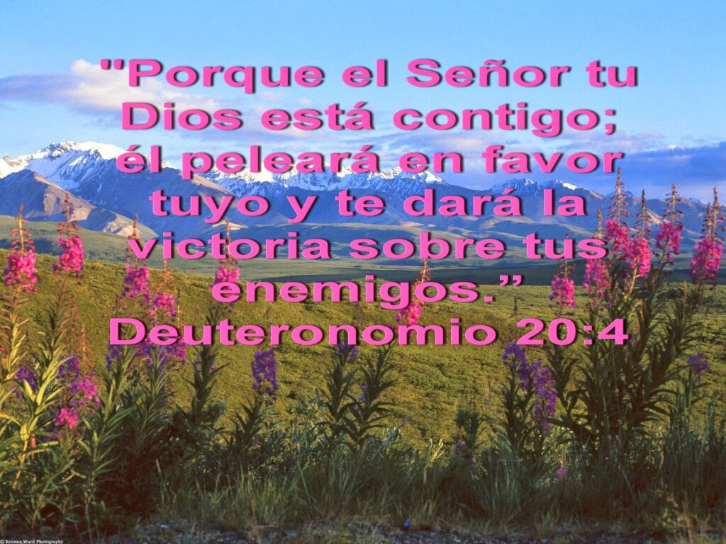 Oración por un hijo alcohólico: Fortalece su camino a la sanidad