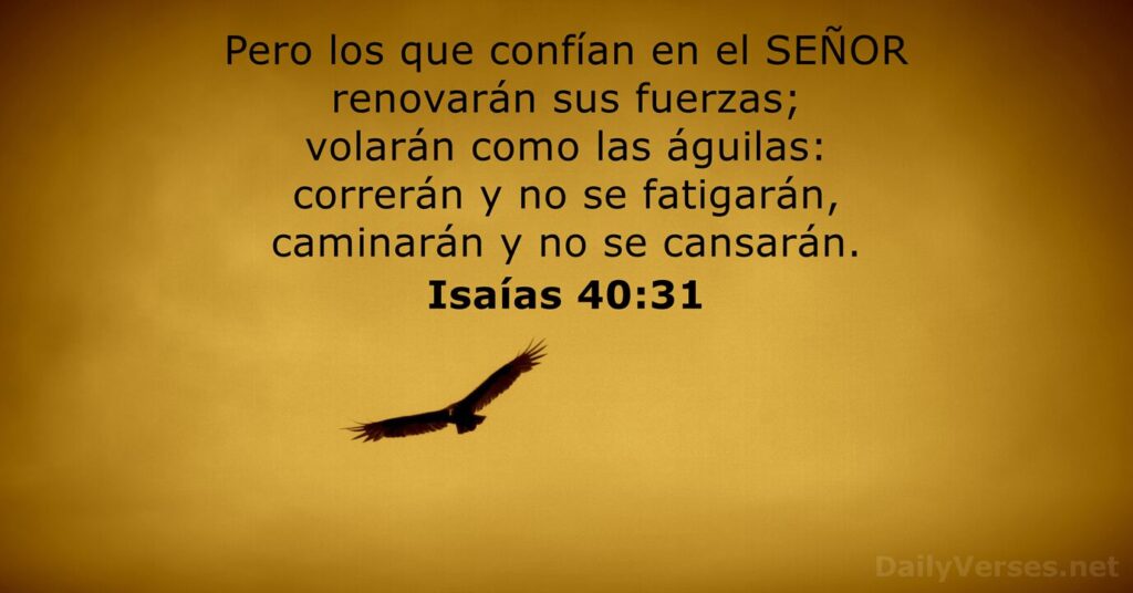 Versículos para honrar a los pastores en oraciones católicas