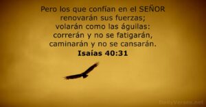 Versículos para honrar a los pastores en oraciones católicas