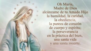 Virgen de la Medalla Milagrosa: Oración Poderosa