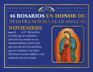 46 Rosarios a la Virgen de Guadalupe: Oraciones de Fe