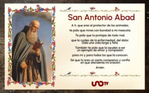 Oración de San Antonio de Padua: Ayuda para encontrar mi mascota