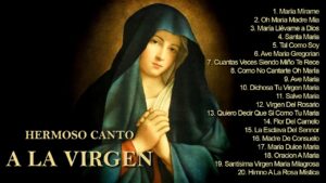 Oración hermosa a la Virgen María: Alabanza y Gratitud