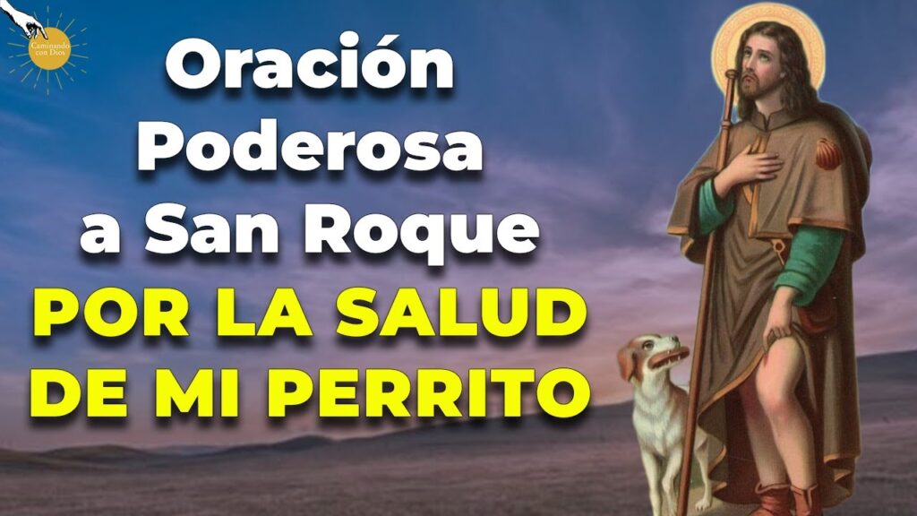 Oración para los animales: protección y amor divino