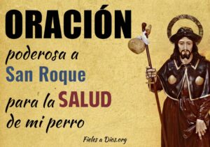 Oración para perros enfermos: San Roque, ayúdame hoy