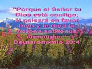 Oración por un hijo alcohólico: Fortalece su camino a Dios