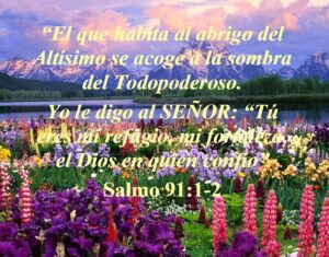 Salmo 91 Biblia de Jerusalén: Oraciones de Protección