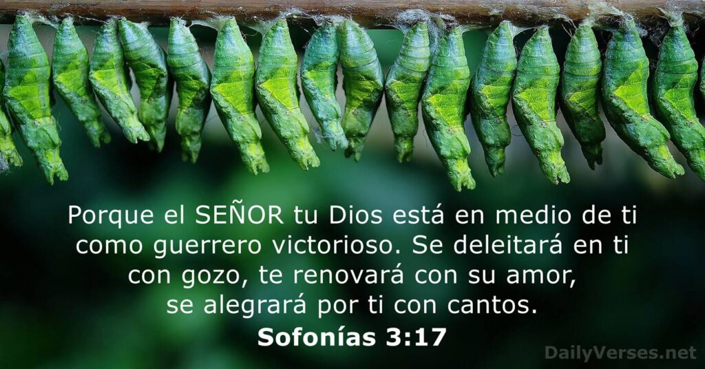 Significado de redimir en la Biblia: Oraciones Católicas