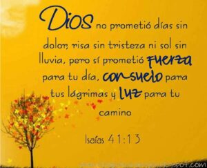 Versículos tristeza: Oraciones católicas para el consuelo