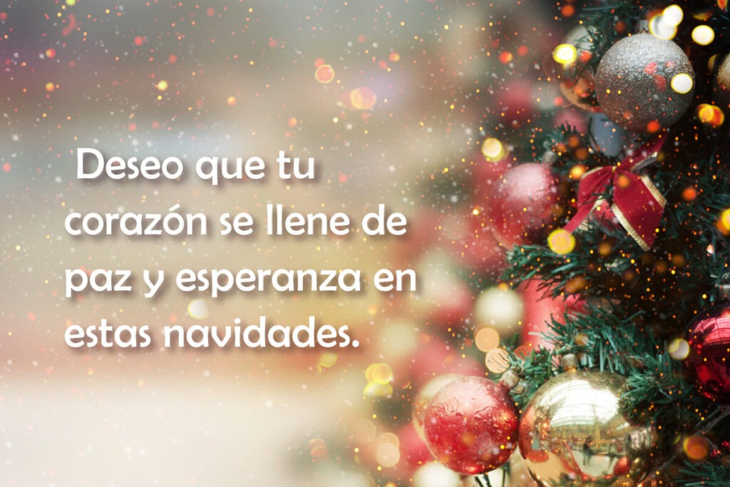 Oración de Navidad 2023: Reflexiones y Esperanza