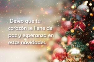 Oración de Navidad 2023: Reflexiones y Esperanza
