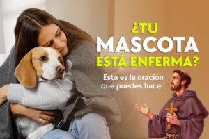 Oración para mascotas enfermas: Sanación y esperanza