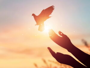 Oración para tener paz y tranquilidad en tu vida diaria